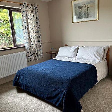 Long View Guest Accommodation 唐帕特里克 外观 照片