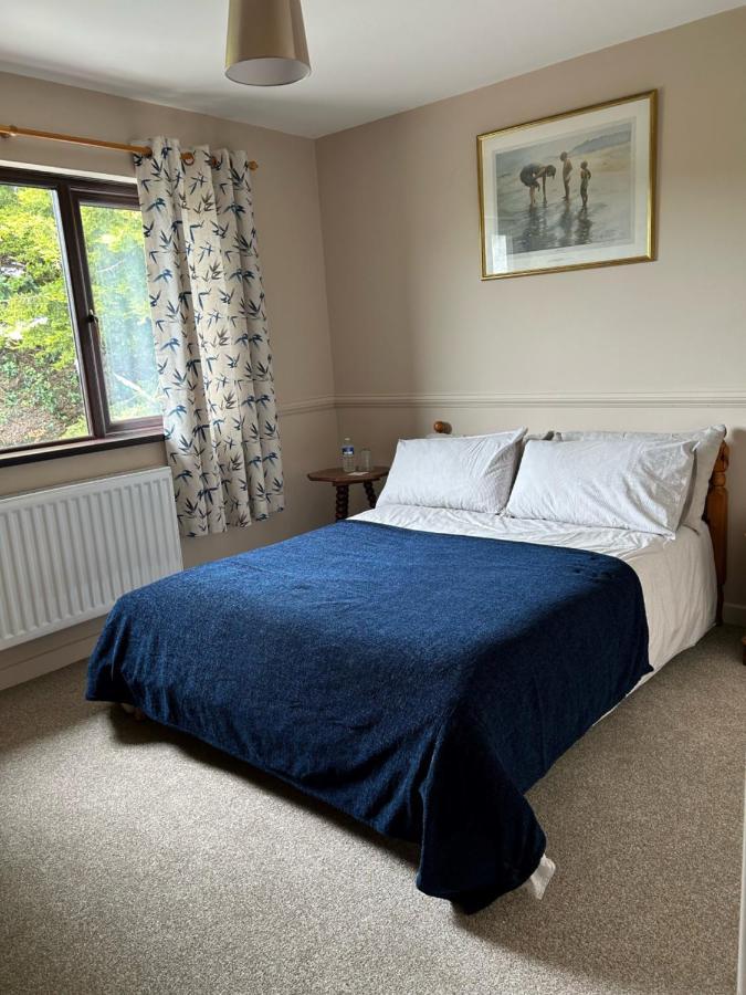 Long View Guest Accommodation 唐帕特里克 外观 照片
